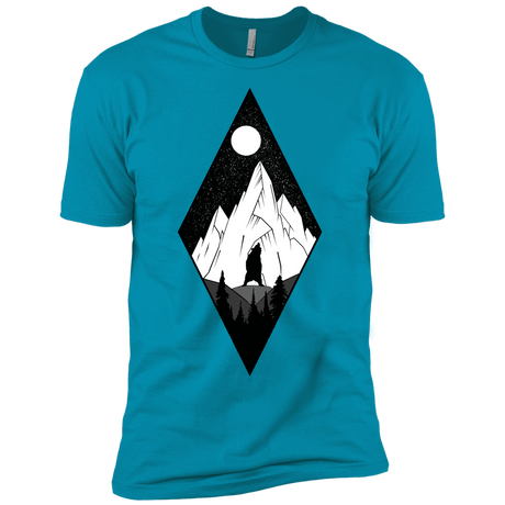 T-Shirts Turquoise / YXS Bear Diamond Boys Premium T-Shirt