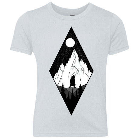 T-Shirts Heather White / YXS Bear Diamond Youth Triblend T-Shirt