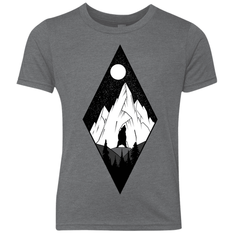 T-Shirts Premium Heather / YXS Bear Diamond Youth Triblend T-Shirt