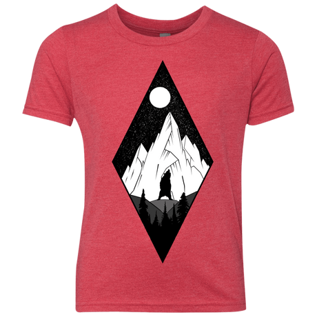 T-Shirts Vintage Red / YXS Bear Diamond Youth Triblend T-Shirt