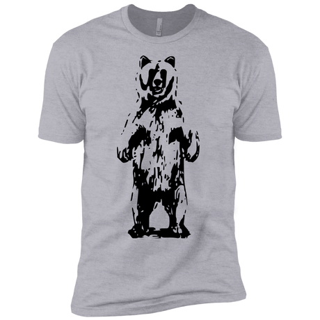 T-Shirts Heather Grey / YXS Bear Hug Boys Premium T-Shirt