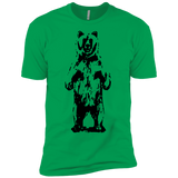 T-Shirts Kelly Green / YXS Bear Hug Boys Premium T-Shirt