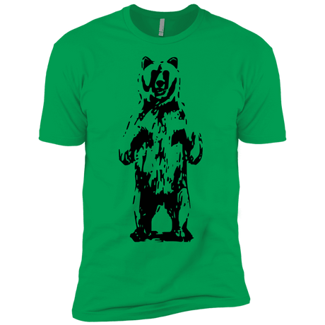 T-Shirts Kelly Green / YXS Bear Hug Boys Premium T-Shirt