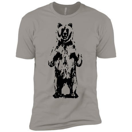 T-Shirts Light Grey / YXS Bear Hug Boys Premium T-Shirt