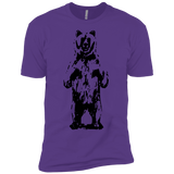 T-Shirts Purple Rush / YXS Bear Hug Boys Premium T-Shirt