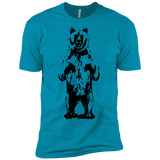 T-Shirts Turquoise / YXS Bear Hug Boys Premium T-Shirt