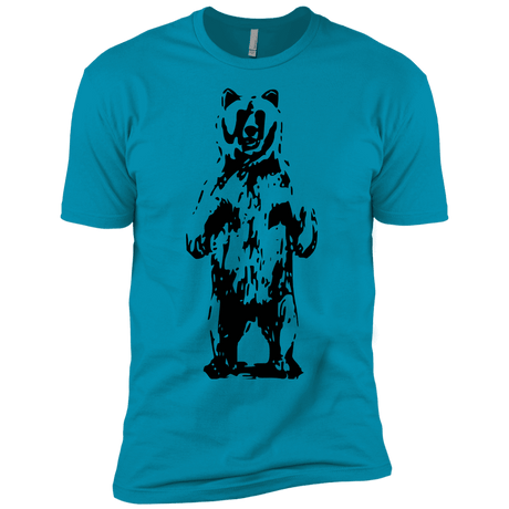 T-Shirts Turquoise / YXS Bear Hug Boys Premium T-Shirt