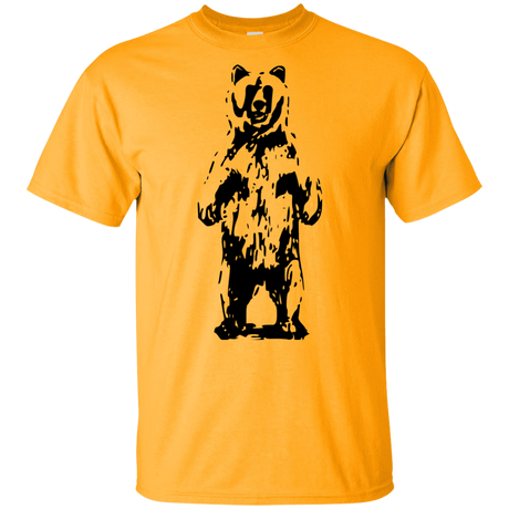 T-Shirts Gold / YXS Bear Hug Youth T-Shirt