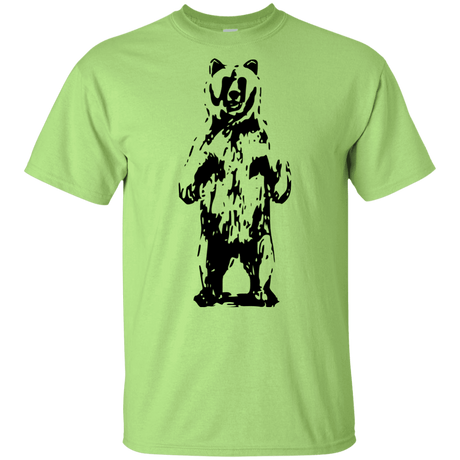 T-Shirts Mint Green / YXS Bear Hug Youth T-Shirt