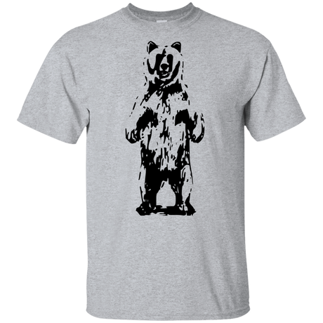 T-Shirts Sport Grey / YXS Bear Hug Youth T-Shirt