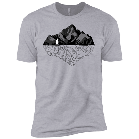 T-Shirts Heather Grey / YXS Bear Reflection Boys Premium T-Shirt