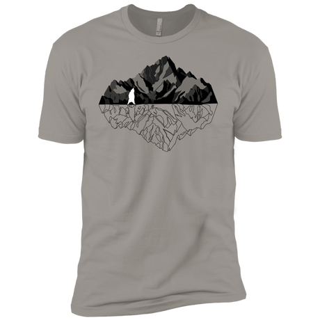 T-Shirts Light Grey / YXS Bear Reflection Boys Premium T-Shirt