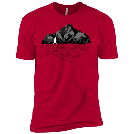 T-Shirts Red / YXS Bear Reflection Boys Premium T-Shirt
