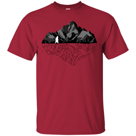 T-Shirts Cardinal / S Bear Reflection T-Shirt