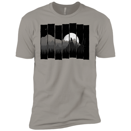 T-Shirts Light Grey / YXS Bear Slats Boys Premium T-Shirt