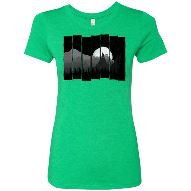 T-Shirts Envy / S Bear Slats Women's Triblend T-Shirt