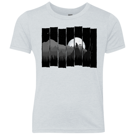 T-Shirts Heather White / YXS Bear Slats Youth Triblend T-Shirt