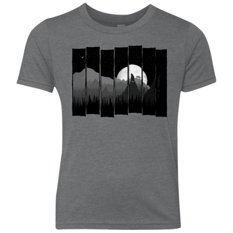 T-Shirts Premium Heather / YXS Bear Slats Youth Triblend T-Shirt
