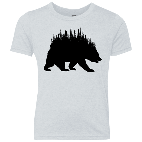T-Shirts Heather White / YXS Bears Home Youth Triblend T-Shirt