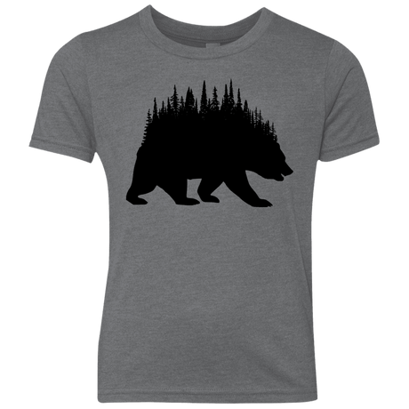 T-Shirts Premium Heather / YXS Bears Home Youth Triblend T-Shirt