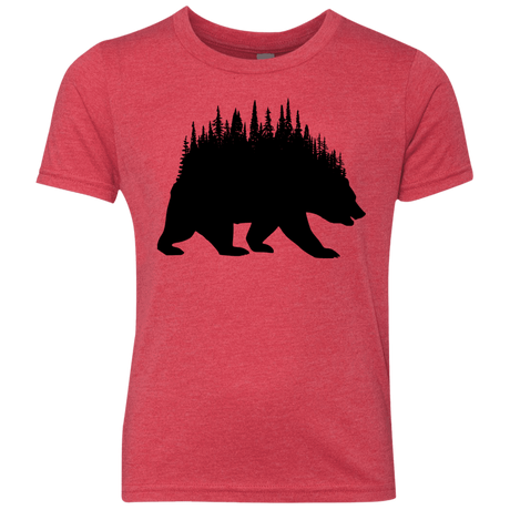 T-Shirts Vintage Red / YXS Bears Home Youth Triblend T-Shirt