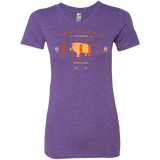 T-Shirts Purple Rush / S BEBOP Women's Triblend T-Shirt