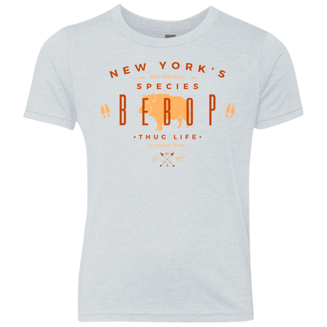 T-Shirts Heather White / YXS BEBOP Youth Triblend T-Shirt