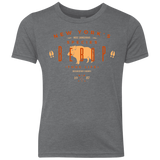 T-Shirts Premium Heather / YXS BEBOP Youth Triblend T-Shirt