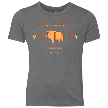 T-Shirts Premium Heather / YXS BEBOP Youth Triblend T-Shirt