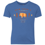 T-Shirts Vintage Royal / YXS BEBOP Youth Triblend T-Shirt