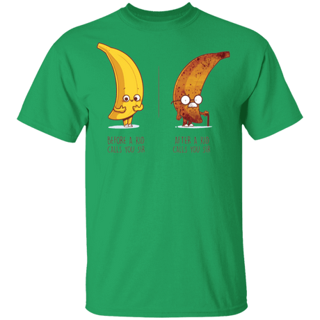 T-Shirts Irish Green / YXS Before After Sir Youth T-Shirt