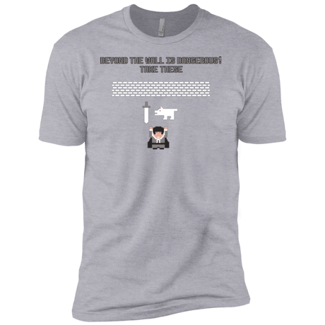 T-Shirts Heather Grey / YXS Beyond the Wall Boys Premium T-Shirt
