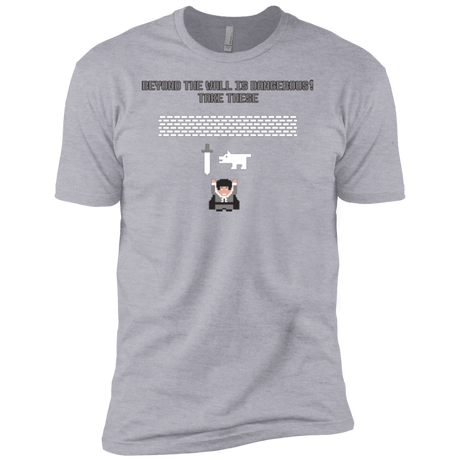 T-Shirts Heather Grey / YXS Beyond the Wall Boys Premium T-Shirt