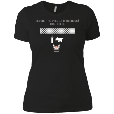 T-Shirts Black / X-Small Beyond the Wall Women's Premium T-Shirt