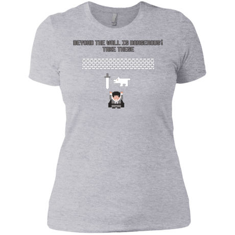 T-Shirts Heather Grey / X-Small Beyond the Wall Women's Premium T-Shirt