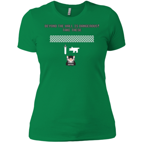 T-Shirts Kelly Green / X-Small Beyond the Wall Women's Premium T-Shirt