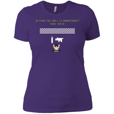 T-Shirts Purple / X-Small Beyond the Wall Women's Premium T-Shirt