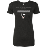 T-Shirts Vintage Black / Small Beyond the Wall Women's Triblend T-Shirt