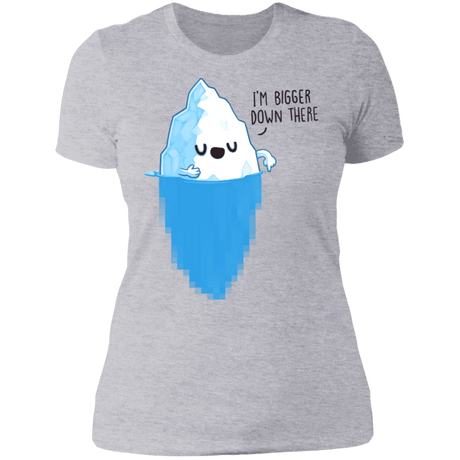 T-Shirts Heather Grey / S Bigger Down There Women's Premium T-Shirt