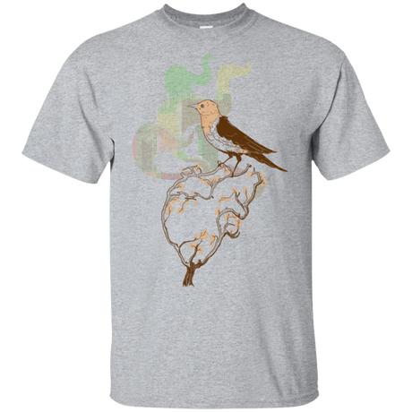 T-Shirts Sport Grey / S Birds T-Shirt