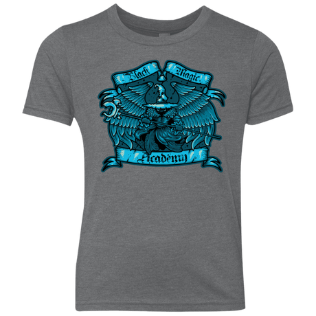 T-Shirts Premium Heather / YXS Black Magic Academy Youth Triblend T-Shirt
