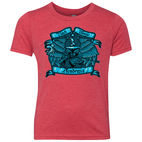 T-Shirts Vintage Red / YXS Black Magic Academy Youth Triblend T-Shirt