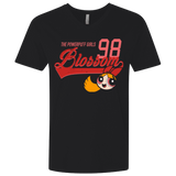 T-Shirts Black / X-Small Blossom Men's Premium V-Neck