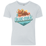 T-Shirts Heather White / YXS Blue Milk Youth Triblend T-Shirt