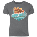 T-Shirts Premium Heather / YXS Blue Milk Youth Triblend T-Shirt