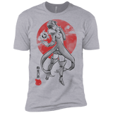 T-Shirts Heather Grey / X-Small Boar Gluttony Men's Premium T-Shirt