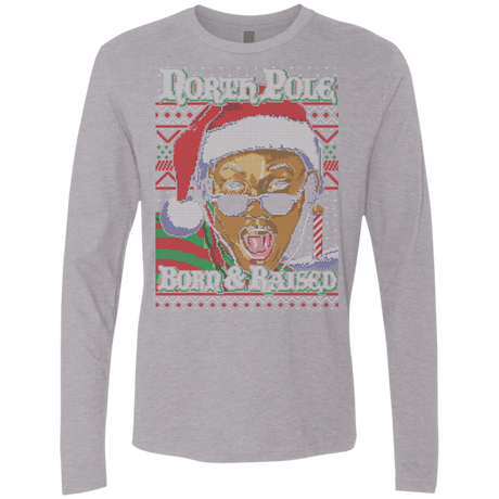 T-Shirts Heather Grey / Small BORN AND RAISED Men's Premium Long Sleeve