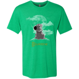 T-Shirts Envy / Small Brian Weenie Men's Triblend T-Shirt