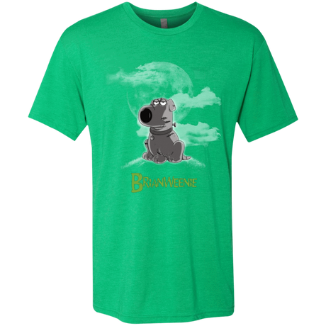 T-Shirts Envy / Small Brian Weenie Men's Triblend T-Shirt