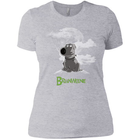 T-Shirts Heather Grey / X-Small Brian Weenie Women's Premium T-Shirt